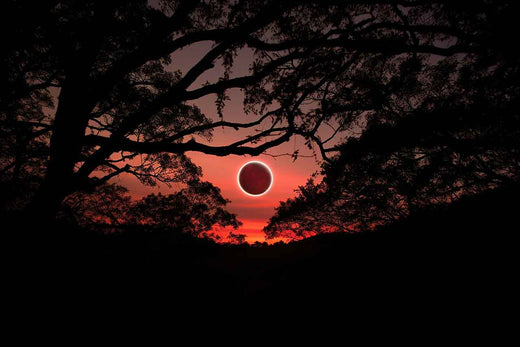 Les éclipses de lune en 2025 : Préparez-vous à des spectacles célestes inoubliables