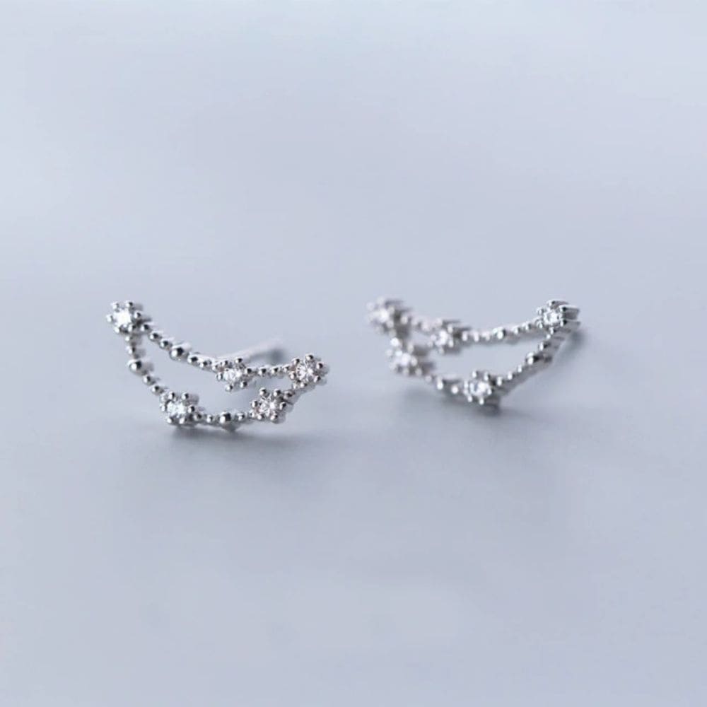 Boucle d'oreilles Constellation du Capricorne