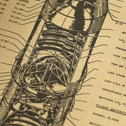 Affiche Plan de Conception Saturn V